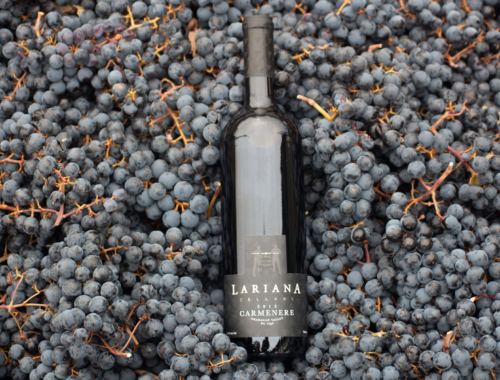 Lariana cellars carmenere bottle in grapes