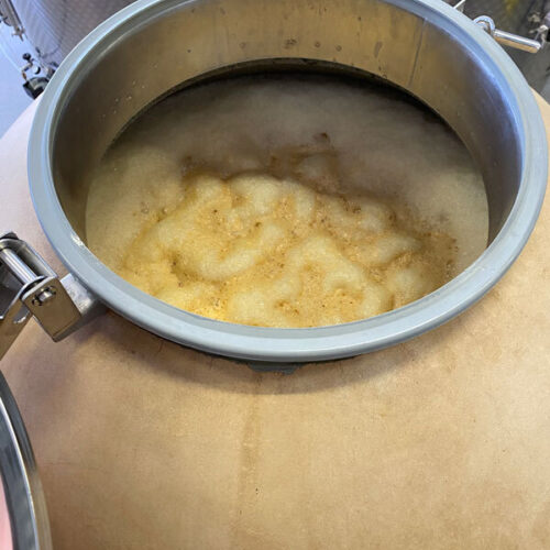 Ferments2020 viognier egg