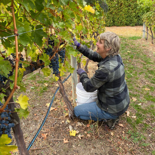 Harvest2020 frontcab carol2