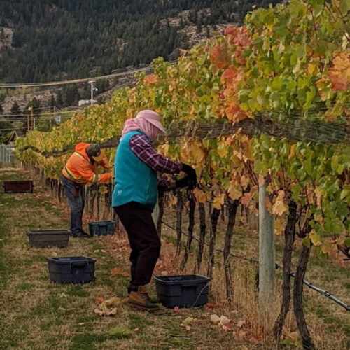 Harvest2020 uppercab team