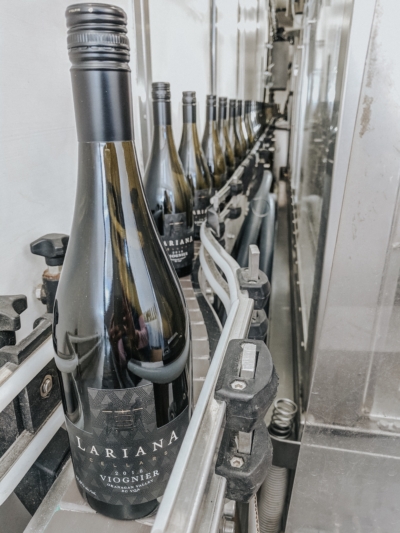 Lariana cellars bottling line